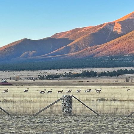 Buena Vista Mountain Retreat - Ultimate Privacy With Spa & Unbeatable Views Extérieur photo